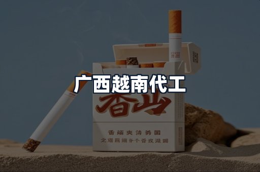 广西越南代工